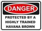 Havana Brown Cat Danger Sticker / High Resolution Vinyl Waterproof