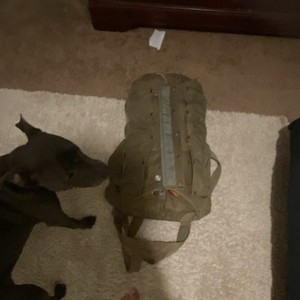 Military Surplus Parachute Pack/Harness w/ Parachute Log Record Booklet