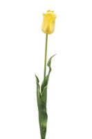 artplants Deko Blume Tulpe Sidra, Hellgelb, 65Cm
