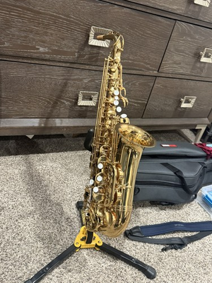 #ad Giardinelli Eastman GAS 11 Alto Saxophone Accessories Case $800.00