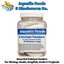 Calcium Feeders, Medium-Large Sand Dollars for Shrimp, Snails & Crayfish