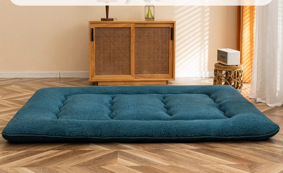 Ebay cheap futon mattress