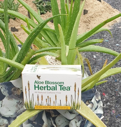 Infusion Fleur d''Aloès vera . Aoe Blossom Tea.Cette Infusion associe les ...