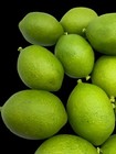 Foto 7 di 9