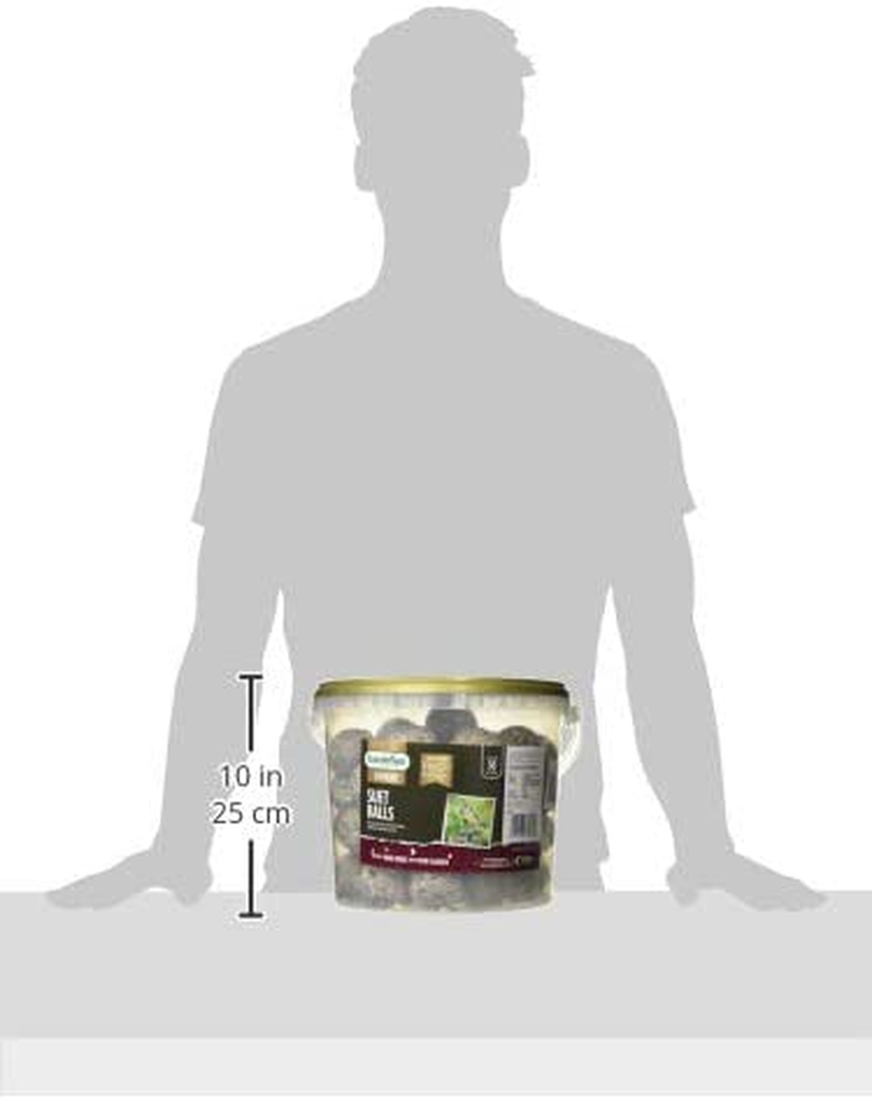 Gardman A04294 Energy Suet Fat Balls 50 Tub Bird Food, Natural, 27 X 27