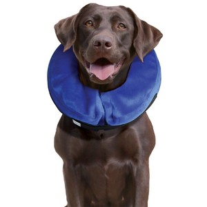 rabbit cage petsmart