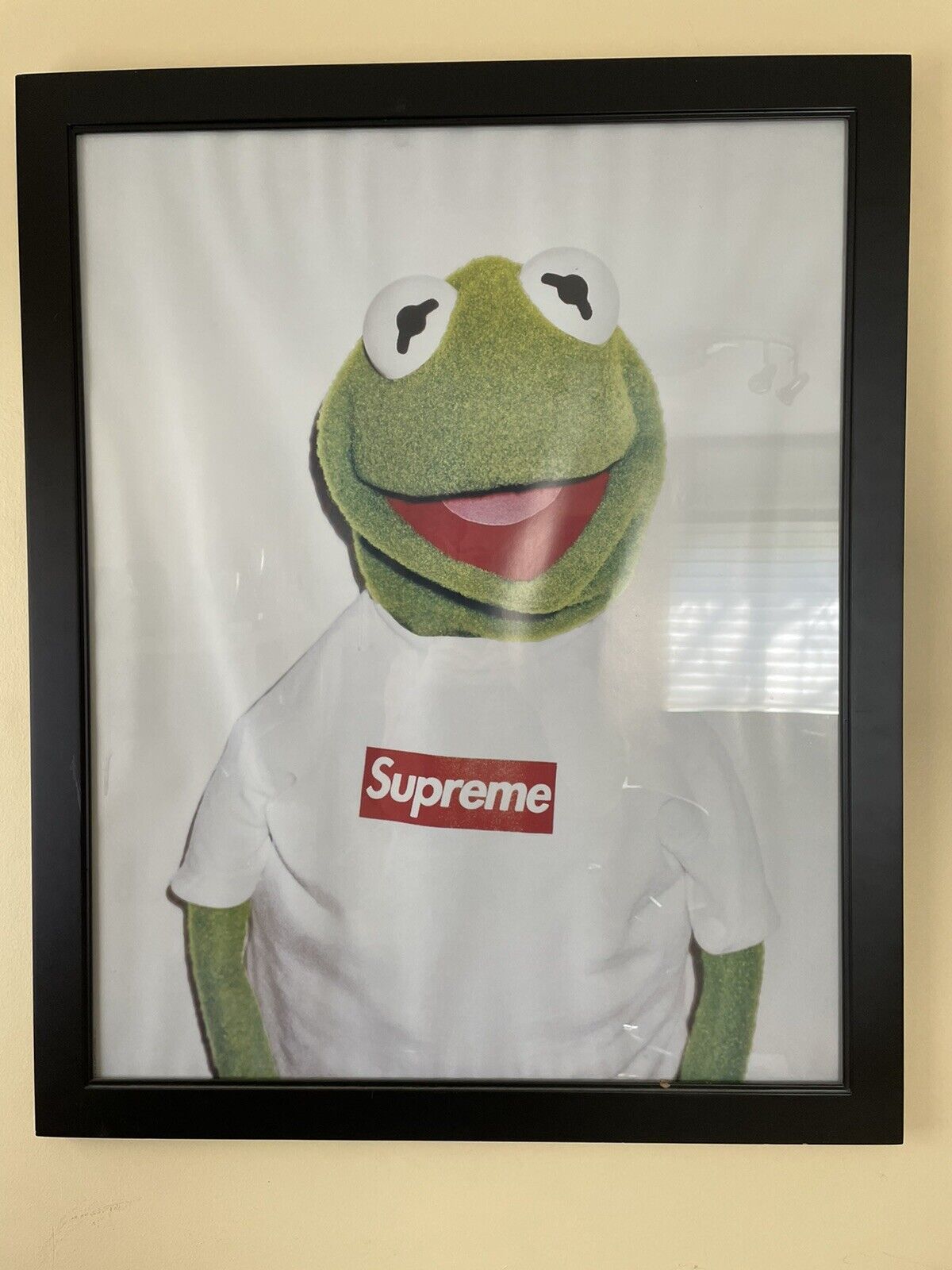 Supreme Spring Summer 2008 Kermit The Frog Poster by Terry Richardson