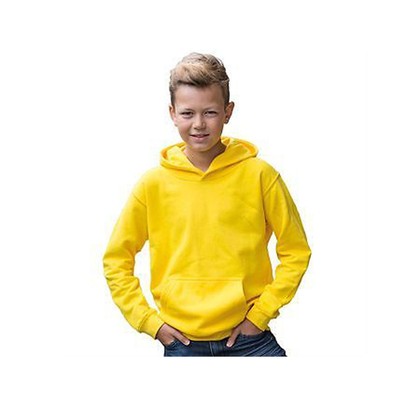 AWDis Hoods Kids hoodie Ash 12