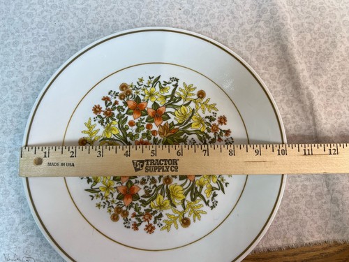 Vintage CORELLE INDIAN SUMMER 10" DINNER PLATE SET OF 4 PREOWNED - Picture 4 of 4