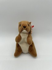Ty Beanie Babies Nuts the Squirrel 5 Inch Brown Plush Stuffed Animal Toy