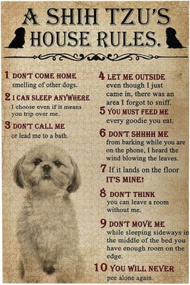 A Shih Tzu House Rules Fan Dog Tin Metal Signs Home Décor 8x12