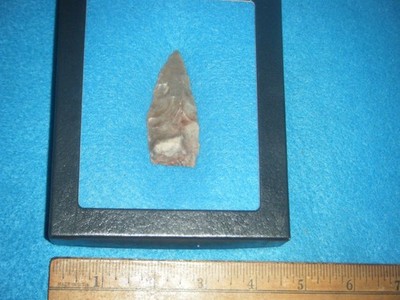 2  1/2 in.    INDIAN ARROWHEAD  PALEO CORAL AGATE BASIN FROM  Pasco Co. FL..