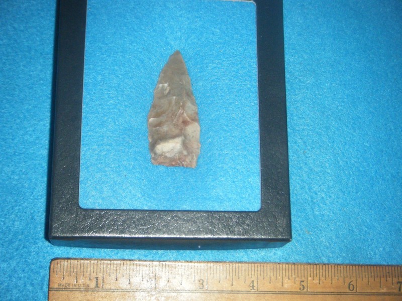 2  1/2 in.    INDIAN ARROWHEAD  PALEO CORAL AGATE BASIN FROM  Pasco Co. FL..
