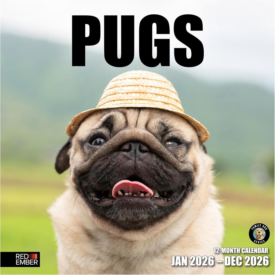 Endearing Pugs 2026 Wall Calendar 12 X 24 Perfect Gift For Dog S L960 
