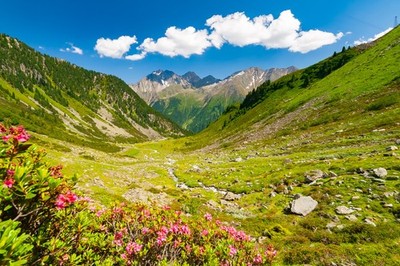 Wandbild: Beautiful summer mountains landscape from Knotenspitze summit in [...]