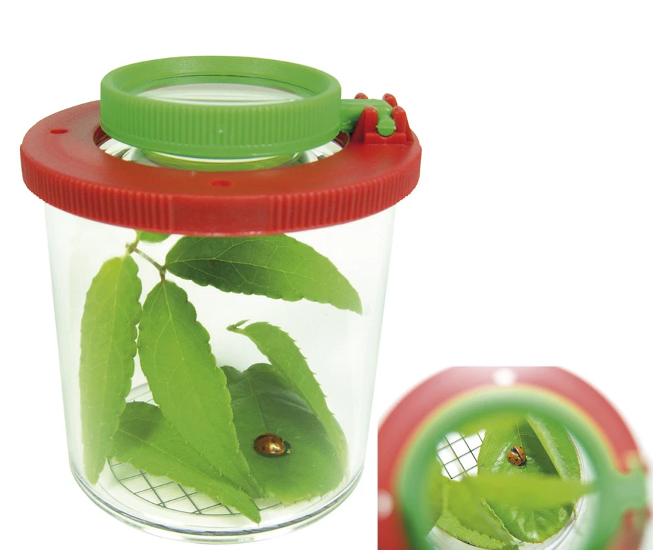 LUPENDOSE Insektendose Lupenbecher Lupe Lupenglas Insektenbecher beobachten NEU