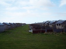 Photo 6x4 Pheasant rearing pens near Gurston Farm Knapp/SU0225 In a coup c2007