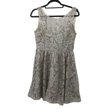 Francesca's Vienne Lace Dress Elegant Silver Lace A-Line, M