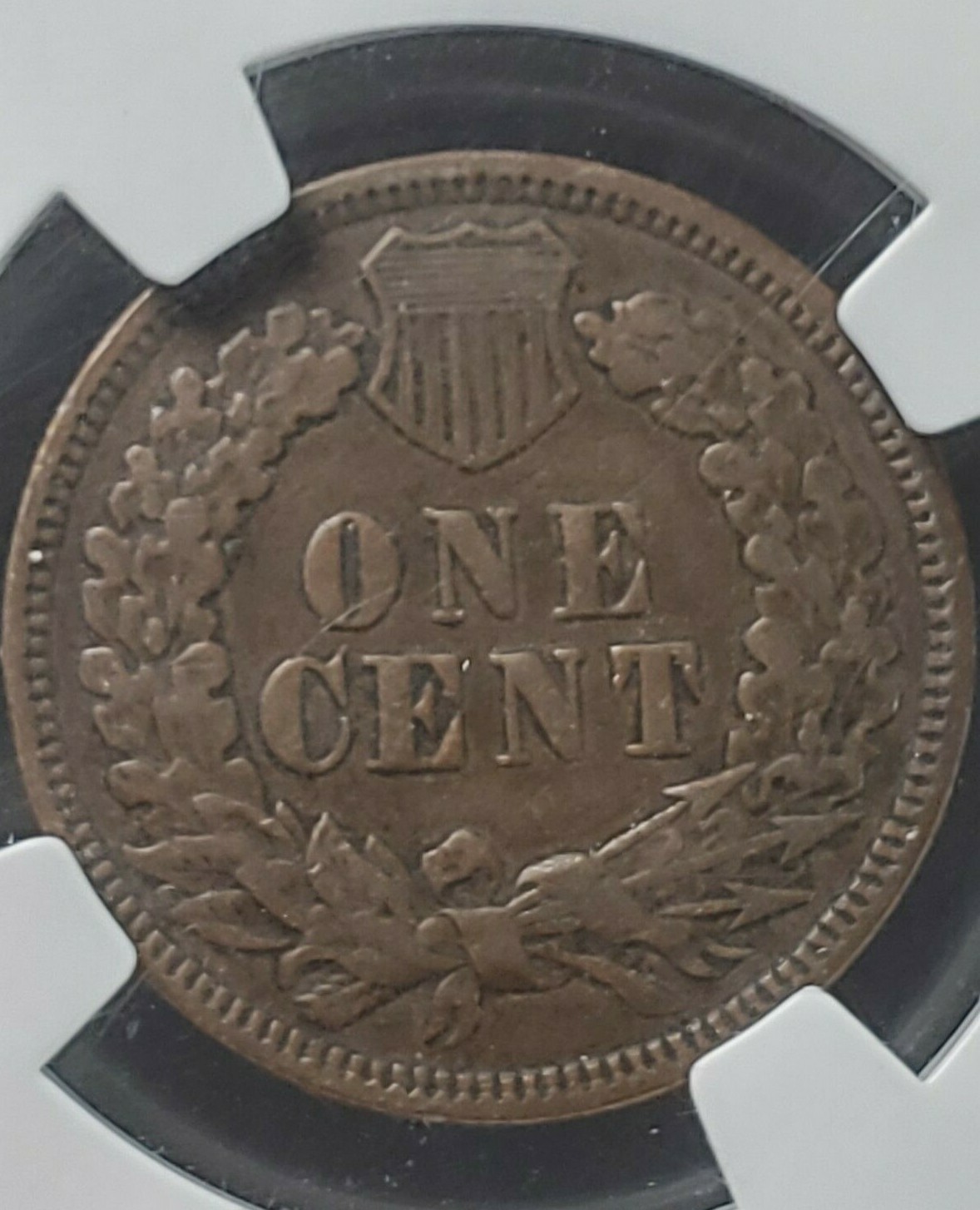 Picture 8 of 10