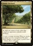 MTG Exotic Orchard ** Neon Dynasty Commander ** English (NM)