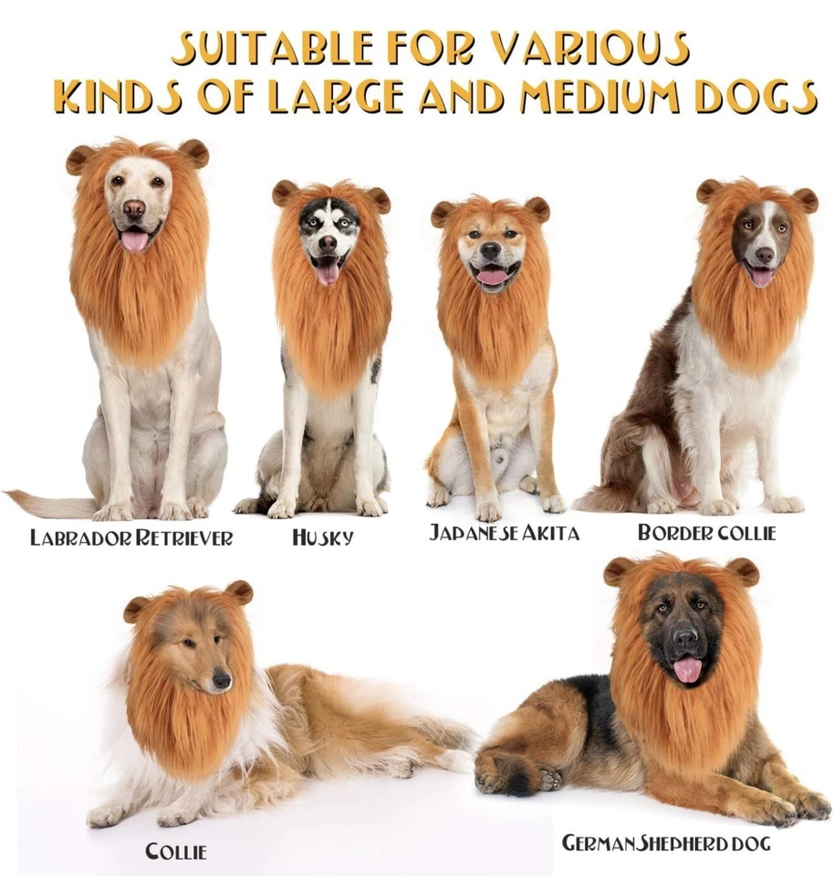 Peluca disfraz de melena y cola de león para perros pequeños, medianos, grandes A0185 Foto 2 de 4