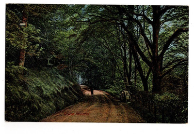 Aberystwyth Cwm Woods Cardiganshire J&J Gibson vor 1914 alte Postkarte Wales