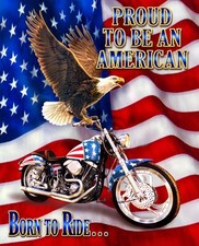 35" Fabric Panel  David Textiles Proud American Eagle Motorcycle Flag Scene