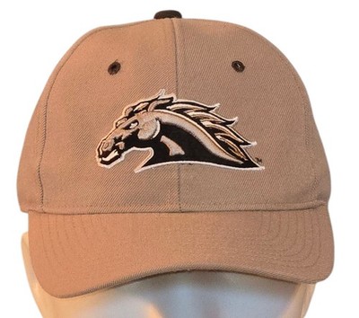 Vintage Zephyr Sample Hat Western Michigan University Broncos Fitted 7 3/8 WMU
