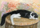 ACEO orig. pastel drawing sleeping tuxedo cat with flowers by Anna Hoff Germany