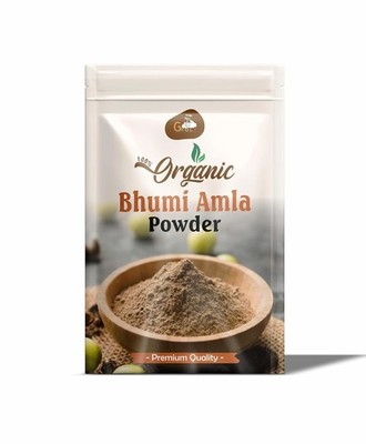 Bhumi Amla Powder Healthy Liver Functioning And Digestive Strength 250 gm