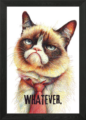 Whatever - Grumpy Ugly Cat With Red Framed Wall Art Poster Leinwanddruck Bild