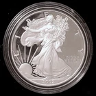 2002-W  U.S. Silver Eagle, Proof #3179