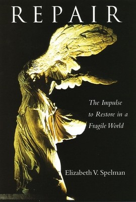 Repair: The Impulse to Restore in a Fragile World by Elizabeth V. Spelman