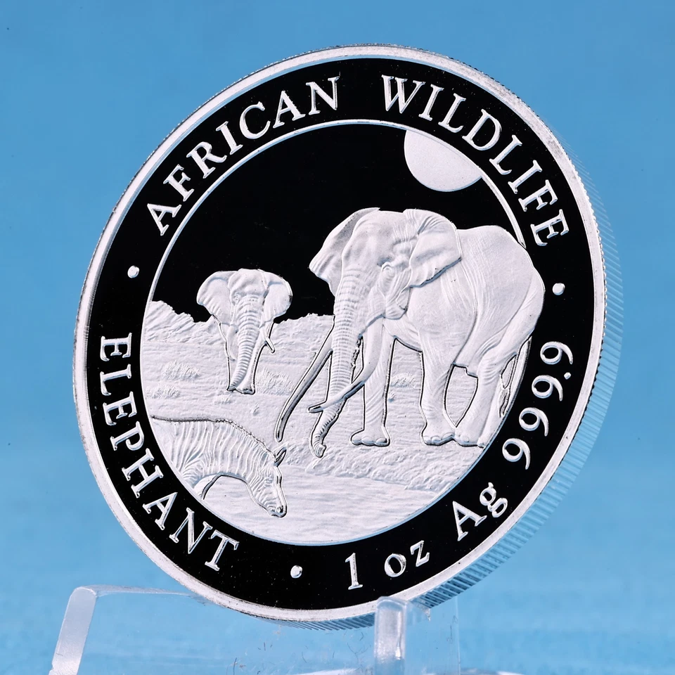 Elefant Elephant Silbermünze Somalia 2026 1 Oz Silber 999.9 African Wildlife - Bild 4 von 4