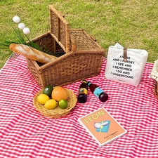 Cute Gingham Picnic Blanket, Waterproof Foldable, in Large 80x60in and Extra Lar