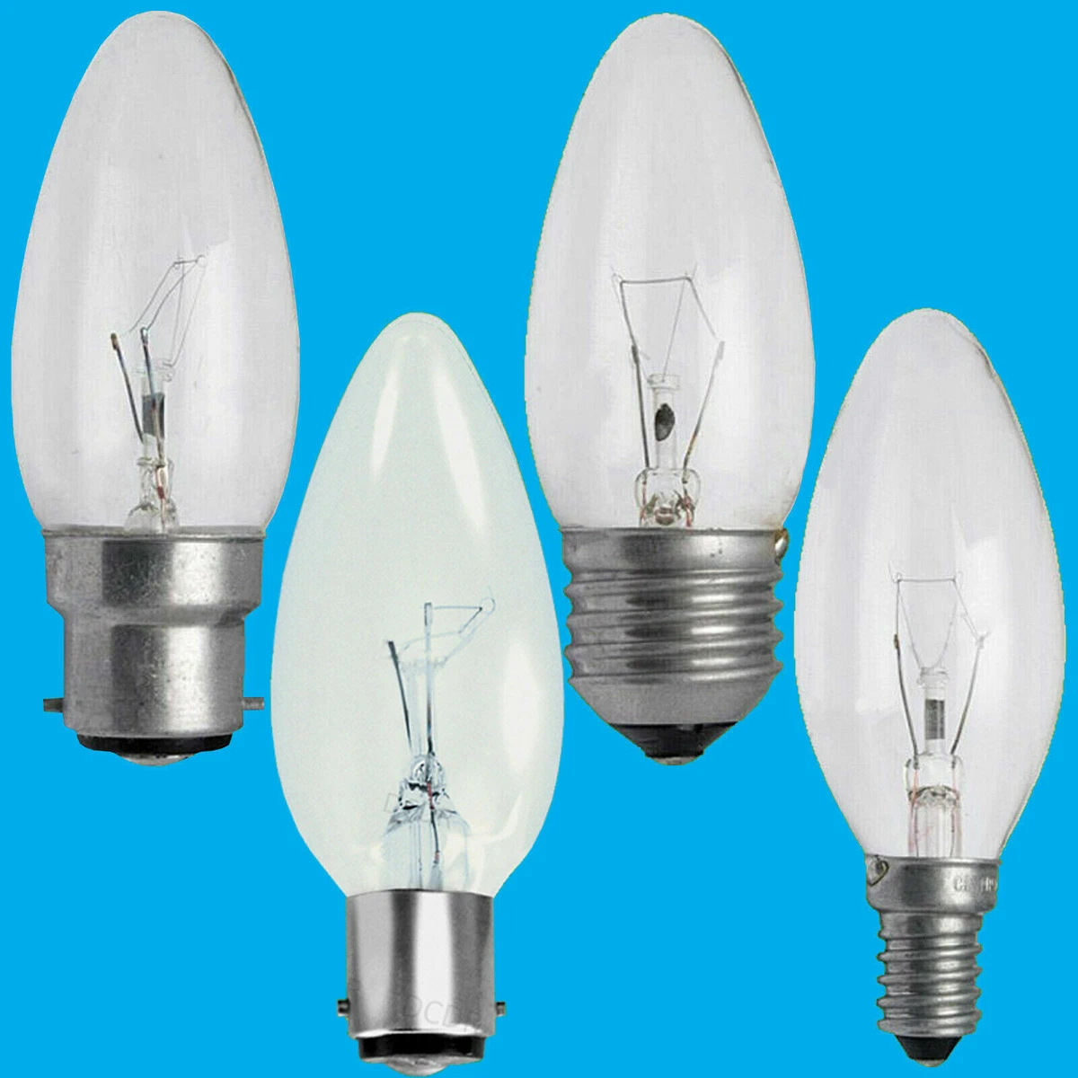 Ses lamps 2024