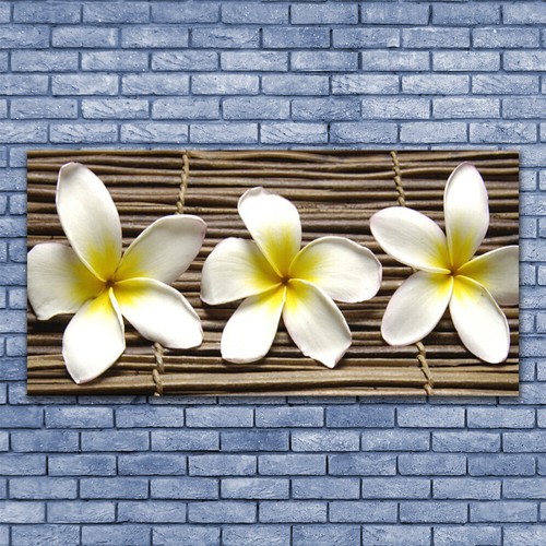 Tableau Sur Plexiglas® – Impression 100x50 Cm – Floral Fleurs – Tulup