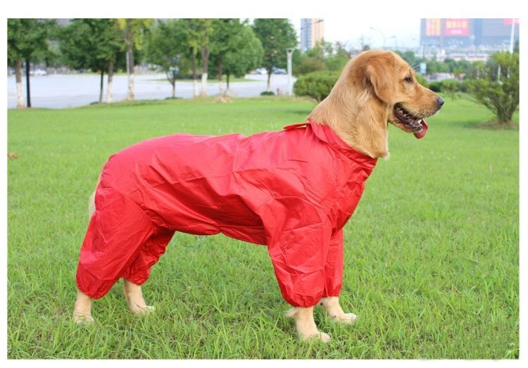 Big dog raincoat store