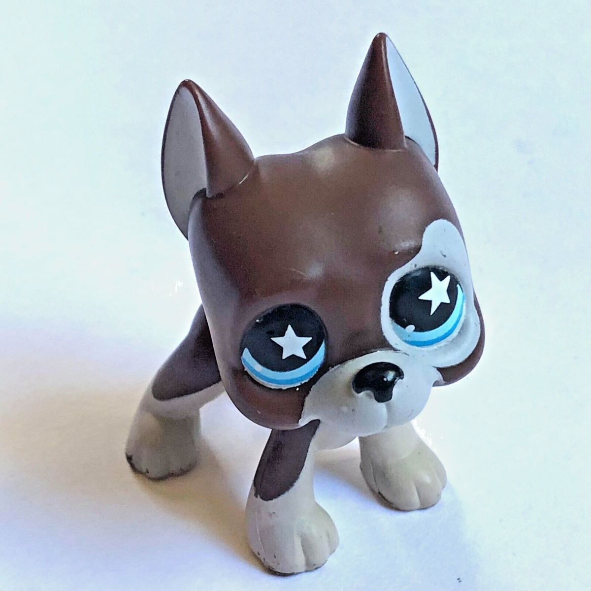 Petshop chien dog argentin danois 817