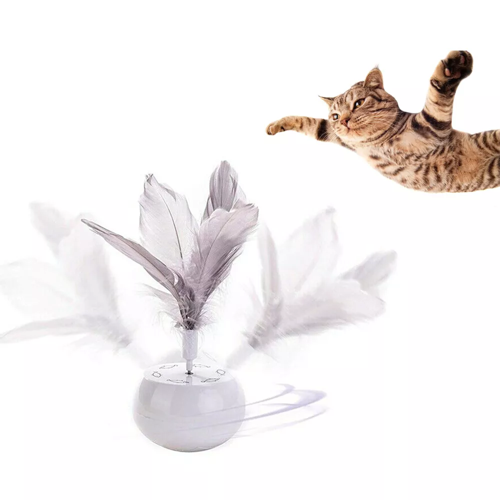 Spinning feather hotsell cat toy