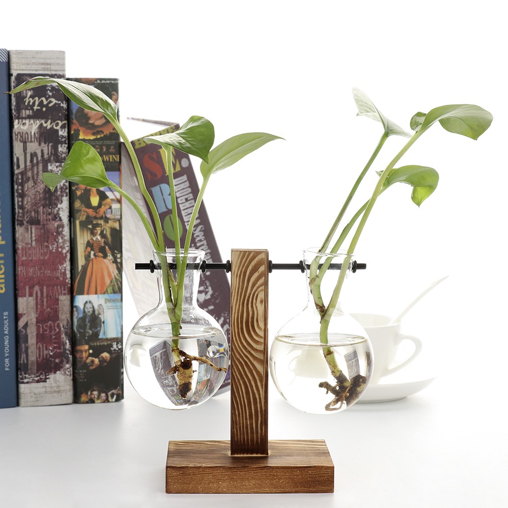 Hydroponic Vase With Wooden Stand Retro Glass Bulb Plant Propagation Station For