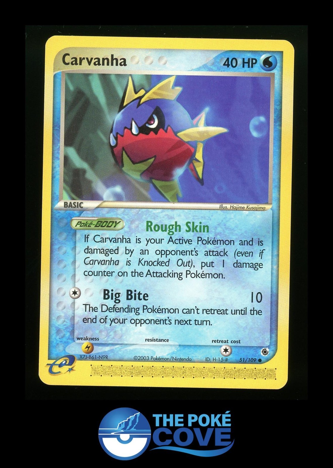 Carvanha 51/109 | Ruby & Sapphire | Pokemon Common | NM