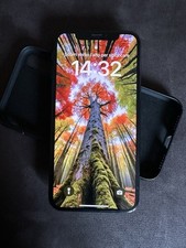 IPhone XS 256 gb NERO  Senza FACE ID Con Box Originale Si Riavvia!!!