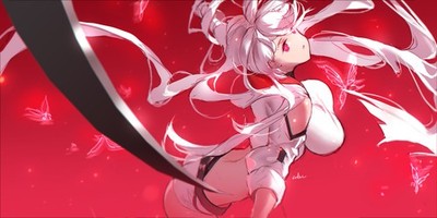 Anime Swd3e2 Hair Long 11x17 Poster
