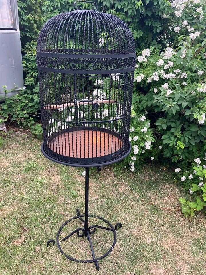 Jaula para pájaros victoriana vintage antigua de hierro forjado Foto 4 de 4