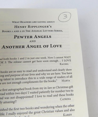 The Angelic Letters SERIES Henry K. Ripplinger Volumes 1 to 6 Trade Paperbacks - Picture 8 of 8