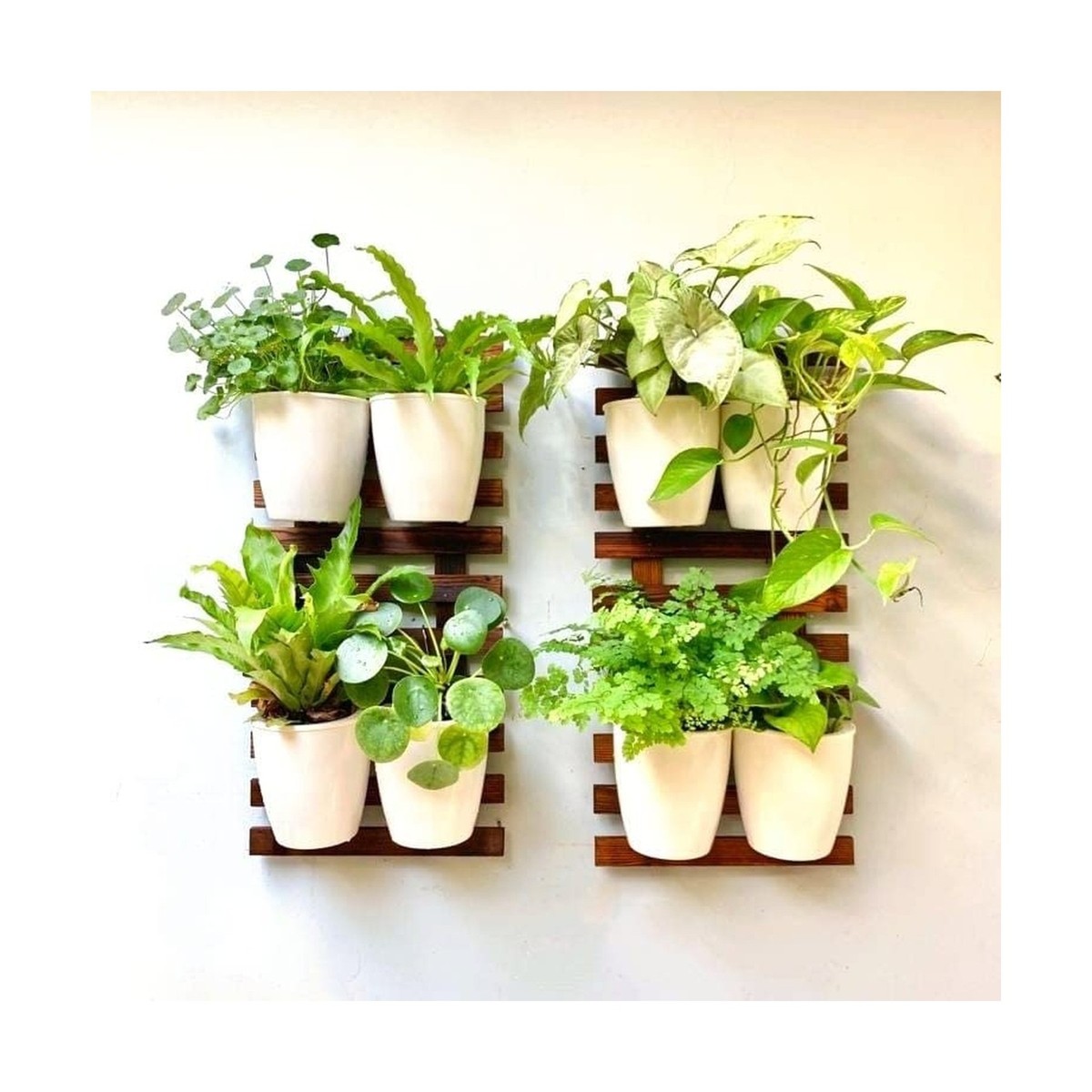 Vego garden Herb Indoor Plant Box, Self Watering Planters Pots for Indoor  Plants with Trellis for Kitchen Window Sill or Countertop Plants Cage -  Sage Green - Walmart.com, image size:1200x1200