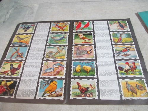 (2) VINTAGE STICKER BOOKS, ANIMAL KINGDOM 1959 & WORLD OF PEOPLE 1963, COMPLETE. - Picture 5 of 15