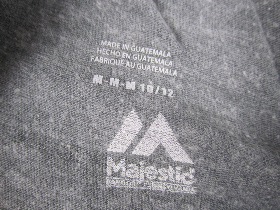 Camisa de béisbol gris medio de los Astros de Houston para niños MLB majestuosa manga raglán azul Foto 3 de 4