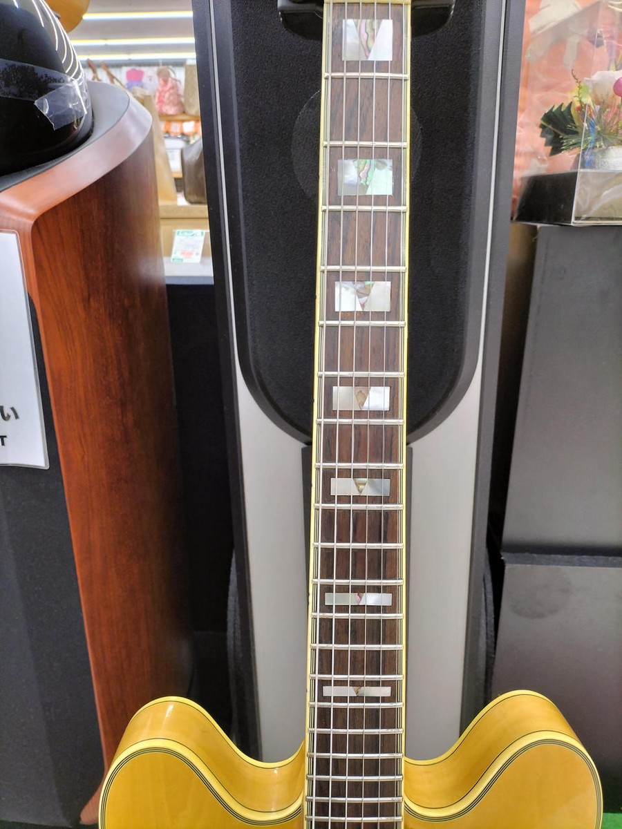 EPIPHONE / SHERATONⅡ | eBay
